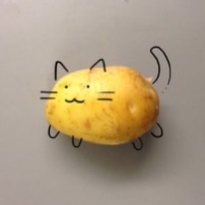 Meet your Posher, Eowyn